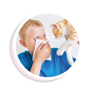 Kassiallergia tuvastamise  kiirtest IMUTEST